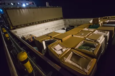 Illustration weights - Image 1