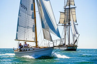 Illustration ketch - Image 1