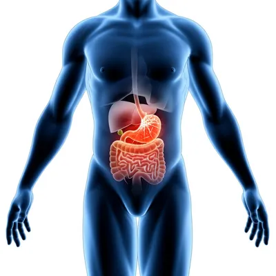 Illustration toxic - Image 1