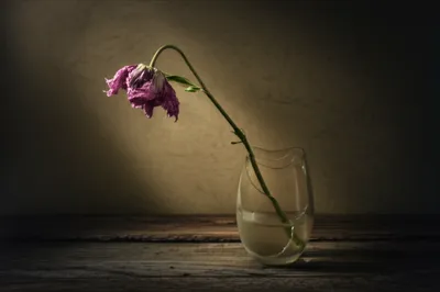 Illustration abused - Image 2