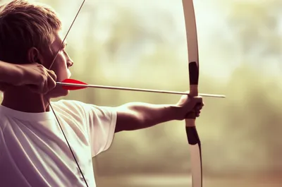 Illustration pitched - Image 1