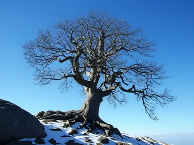 Illustration enduring - Image 1