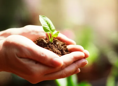 Illustration cherish - Image 1