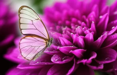 Illustration super - Image 1