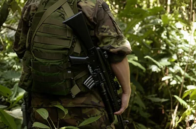 Illustration carbines - Image 1