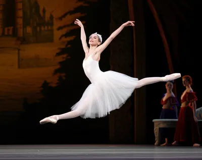 Illustration ballets - Image 1