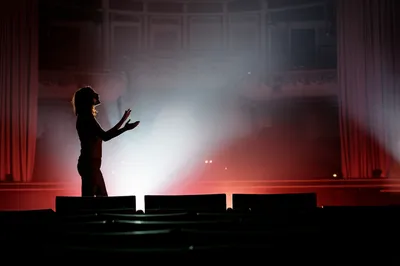 Illustration soliloquy - Image 1