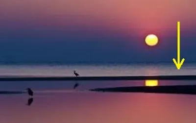 Illustration decline - Image 2