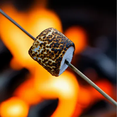 Illustration char - Image 1