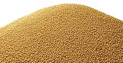 Illustration ton - Image 1