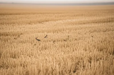 Illustration ebb - Image 1