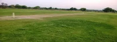 Illustration ground - Image 2