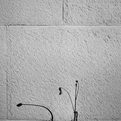 Illustration strictness