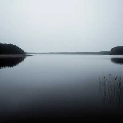 Illustration still - Image 1