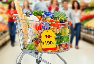 Illustration spec - Image 1