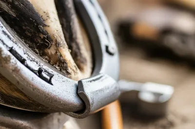 Illustration clips - Image 1