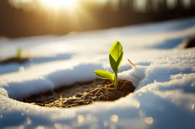 Illustration march - Image 1