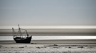 Illustration ebb - Image 1