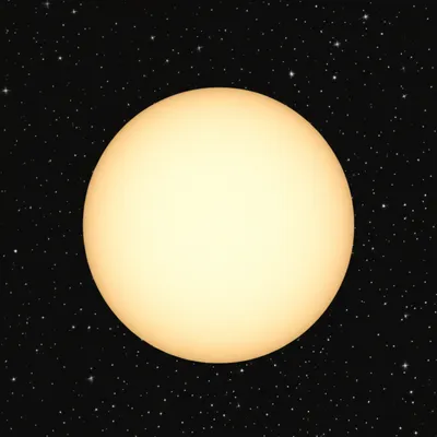 Illustration roundest - Image 1