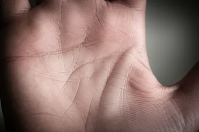 Illustration lifeline - Image 1