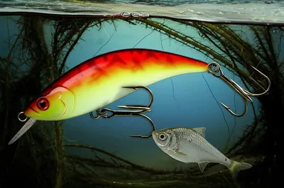 Illustration hookers - Image 1