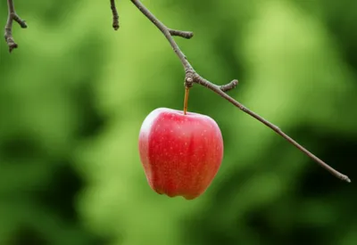 Illustration hung - Image 1