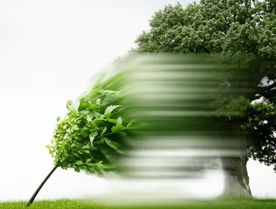 Illustration yielding - Image 1