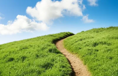 Illustration bank - Image 1