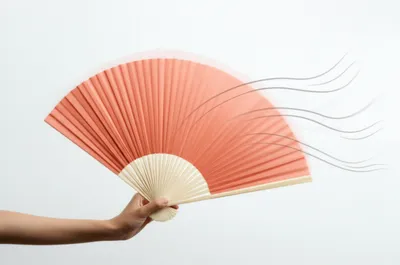 Illustration fan - Image 1