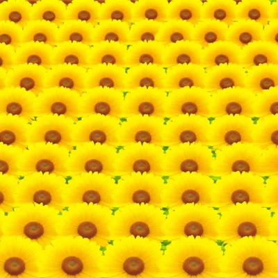 Illustration pats - Image 1