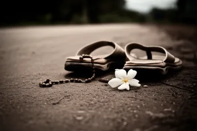 Illustration salvage - Image 1