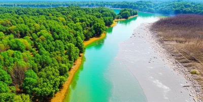 Illustration polluted - Image 1