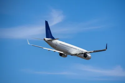 Illustration fin - Image 1