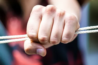 Illustration restrain