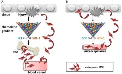 Illustration recruitment - Image 2