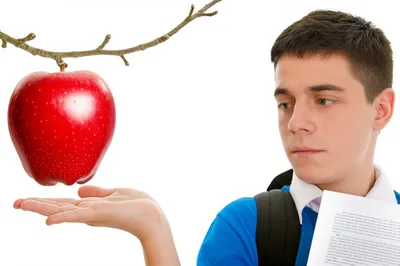 Illustration tempt - Image 1