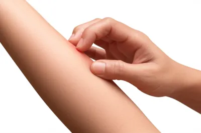 Illustration scratch - Image 1