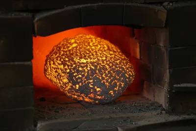 Illustration bloom - Image 1