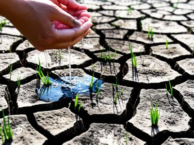 Illustration battled - Image 1