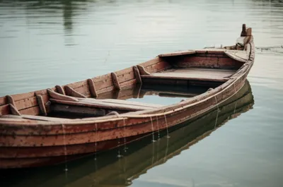 Illustration lading - Image 1