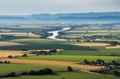 Illustration int - Image 1