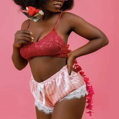 Illustration vixen - Image 2