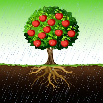 Illustration sustains - Image 1