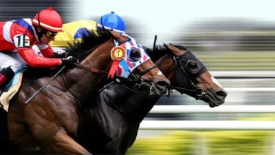 Illustration forecasts - Image 1