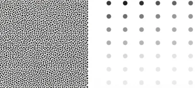 Illustration dense - Image 1