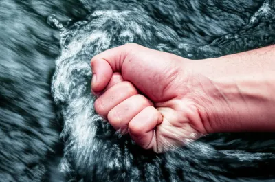 Illustration stays - Image 1