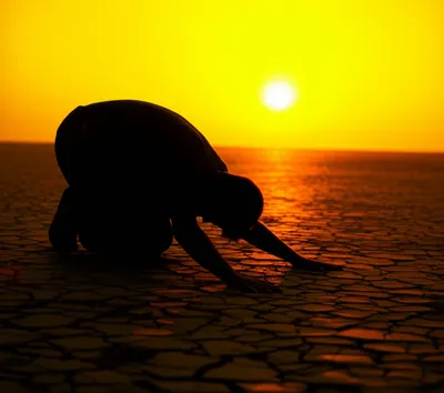 Illustration prostrating - Image 1