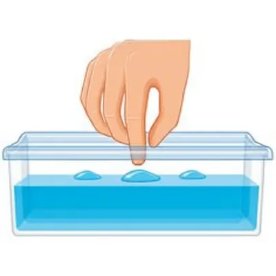 Illustration membrane - Image 1