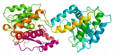 Illustration loops - Image 1