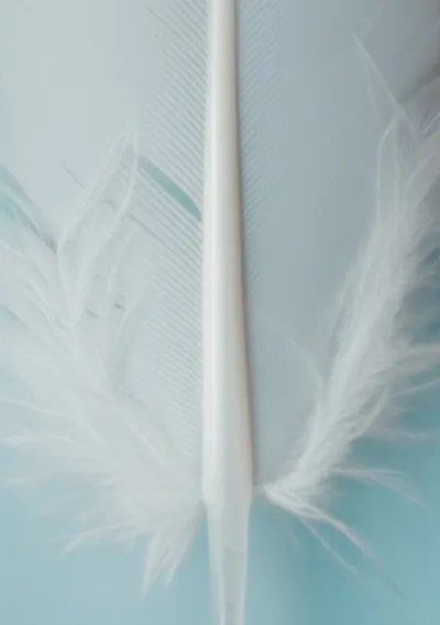 Illustration shafts - Image 1